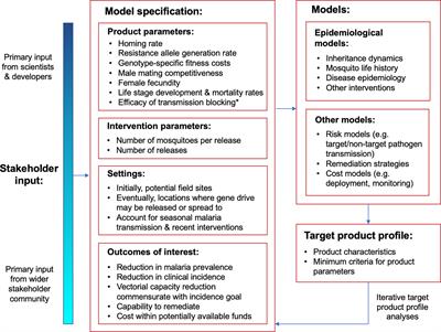 Target Product Profiles for Mosquito Gene Drives: Incorporating Insights From Mathematical Models